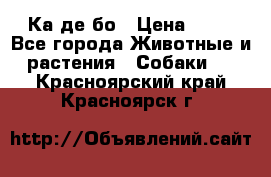 Ка де бо › Цена ­ 25 - Все города Животные и растения » Собаки   . Красноярский край,Красноярск г.